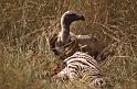 WT 1400 195-30 Kenya